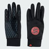Black / Easy Coral