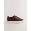 Marron Fauve