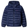 Bleu Dulwich