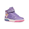 Violet/Fuchsia