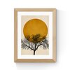 Natural Oak