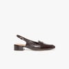 Marron Marron Fonce