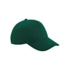 Vert Sapin