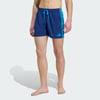 Dark Blue / Bright Blue