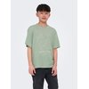 Iceberg Green