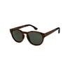 Marron Tortoise Brown/Green Plz