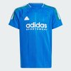 Blue / Green / White / Red