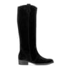 Noir Velours