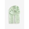 Feuille Vert Sauge