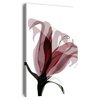 Tableau fleur blanche