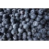 Tableau Alu Dibond
