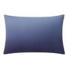 Bleu Foncé