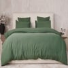 Vert Cèdre