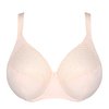 Rose - Crystal Pink