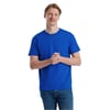 Bleu Roi