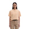 Couleur Pêche