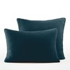 Bleu Paon