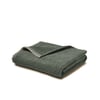 Vert Sequoia Et Beige