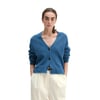Bleu Moyen