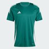 Team Dark Green / White