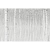 Tableau Alu Dibond