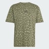Tent Green / Olive Strata
