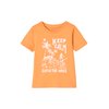 Corail