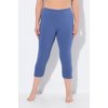 Bleu Voile Clair