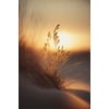 Tableau Alu Dibond