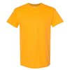 Bouton D'Or