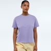 Lavander