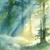 Tableau Alu Dibond