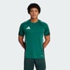 Team Dark Green / Shadow Green