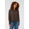 Marron Coffee Bean Turtledove Dot