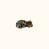 Ecaille De Tortue