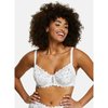 Wolf lingerie