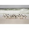 Tableau Alu Dibond