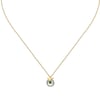 Argent, Or, Rose