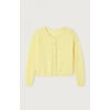 Jaune Citron