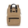 Beige Foncé