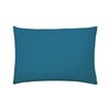 Bleu Paon