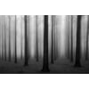 Tableau Alu Dibond