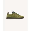 Vert Olive