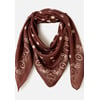 Marron Graphique
