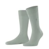Aqua Gray (7545)