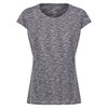 Gris Phoque