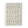 Imprimé Alphabet Signes