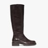 Marron Marron Fonce