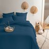 Bleu Prusse