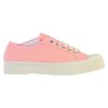 Rose Pale